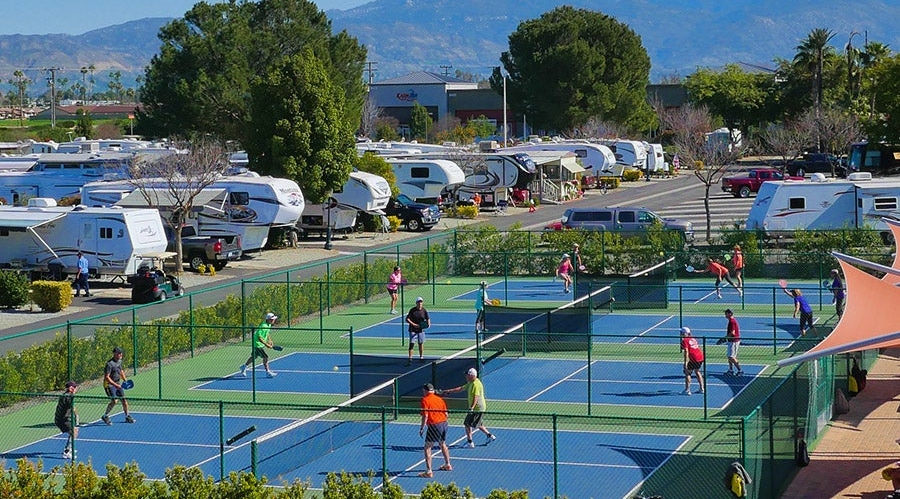 Le Pickleball : L'activit&eacute; incontournable pour dynamiser votre camping